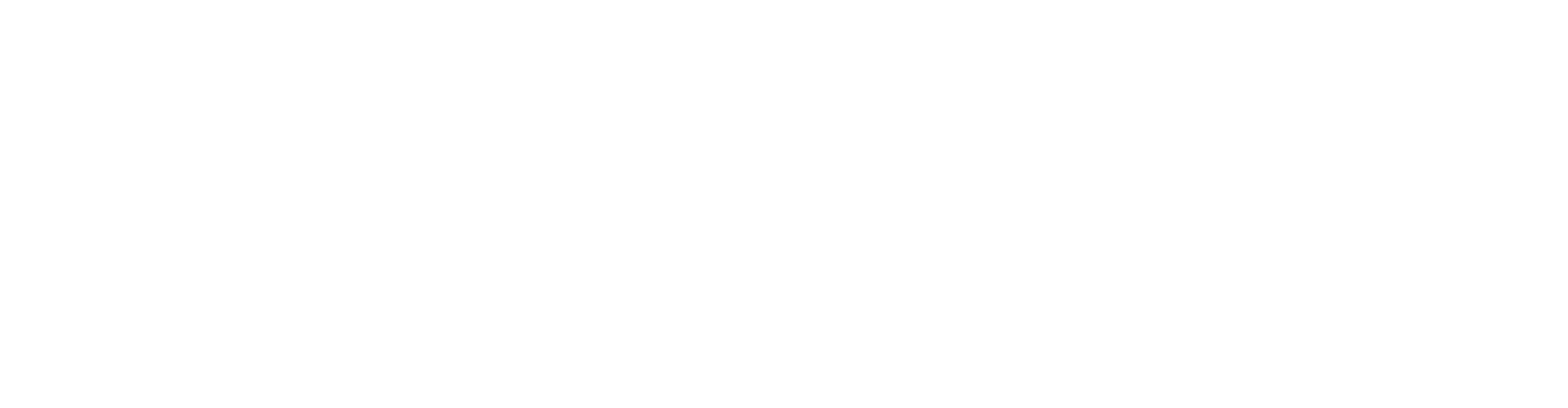 MyNina Logo